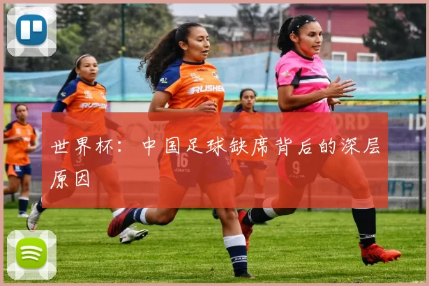 世界杯：中国足球缺席背后的深层原因