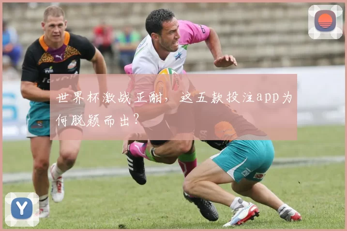 世界杯激战正酣,这五款投注app为何脱颖而出?