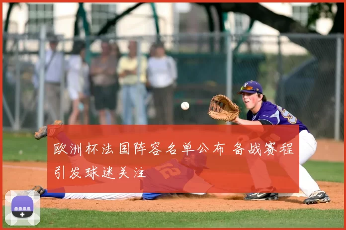 欧洲杯法国阵容名单公布 备战赛程引发球迷关注