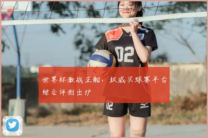 世界杯激战正酣，权威买球赛平台综合评测出炉