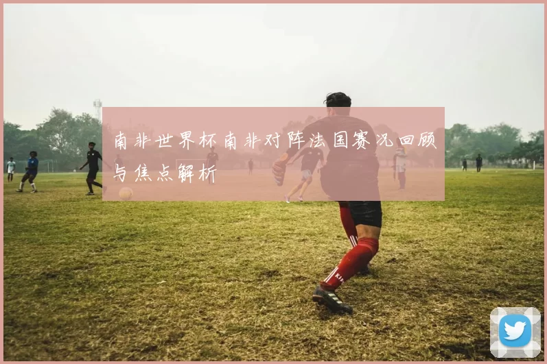 南非世界杯南非对阵法国赛况回顾与焦点解析