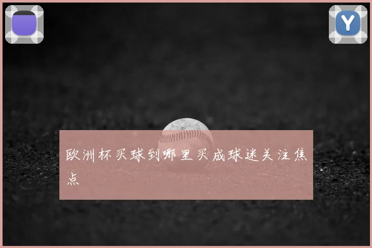 欧洲杯买球到哪里买成球迷关注焦点