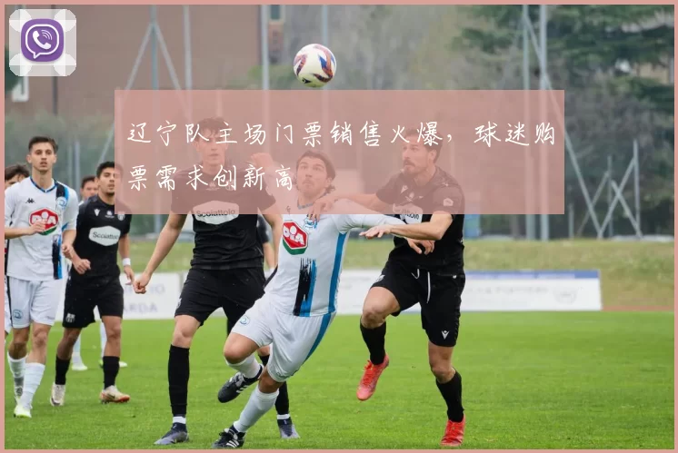 辽宁队主场门票销售火爆，球迷购票需求创新高