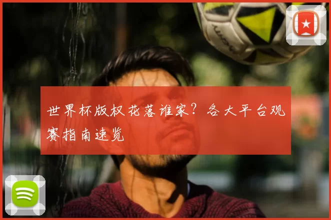 世界杯版权花落谁家？各大平台观赛指南速览