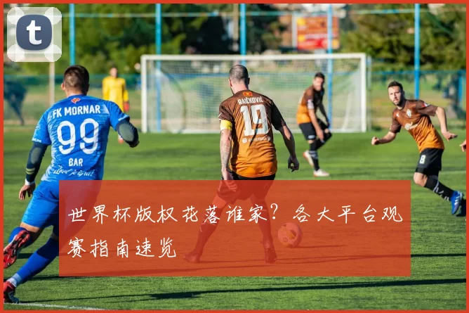 世界杯版权花落谁家？各大平台观赛指南速览