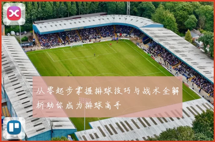 从零起步掌握排球技巧与战术全解析助你成为排球高手