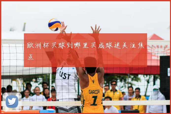 欧洲杯买球到哪里买成球迷关注焦点