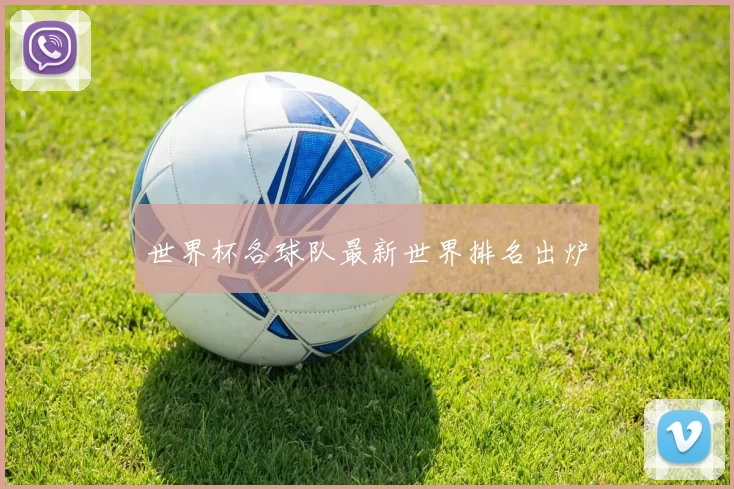 世界杯各球队最新世界排名出炉