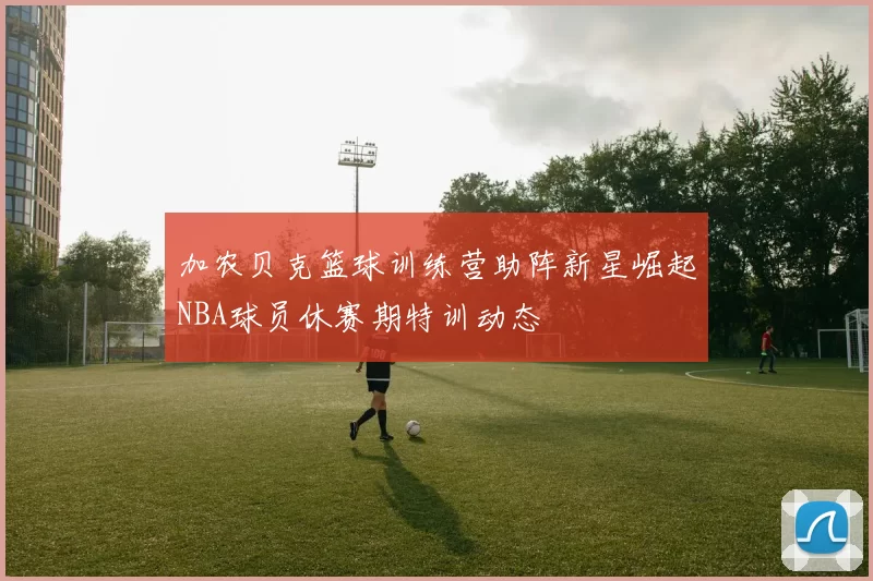 加农贝克篮球训练营助阵新星崛起NBA球员休赛期特训动态